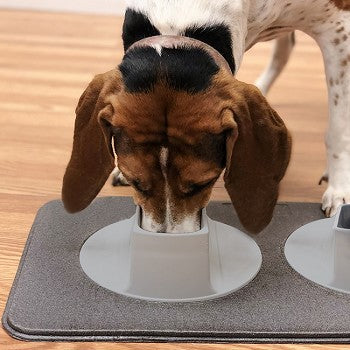 Ear-Clear — Pet Feeding Station